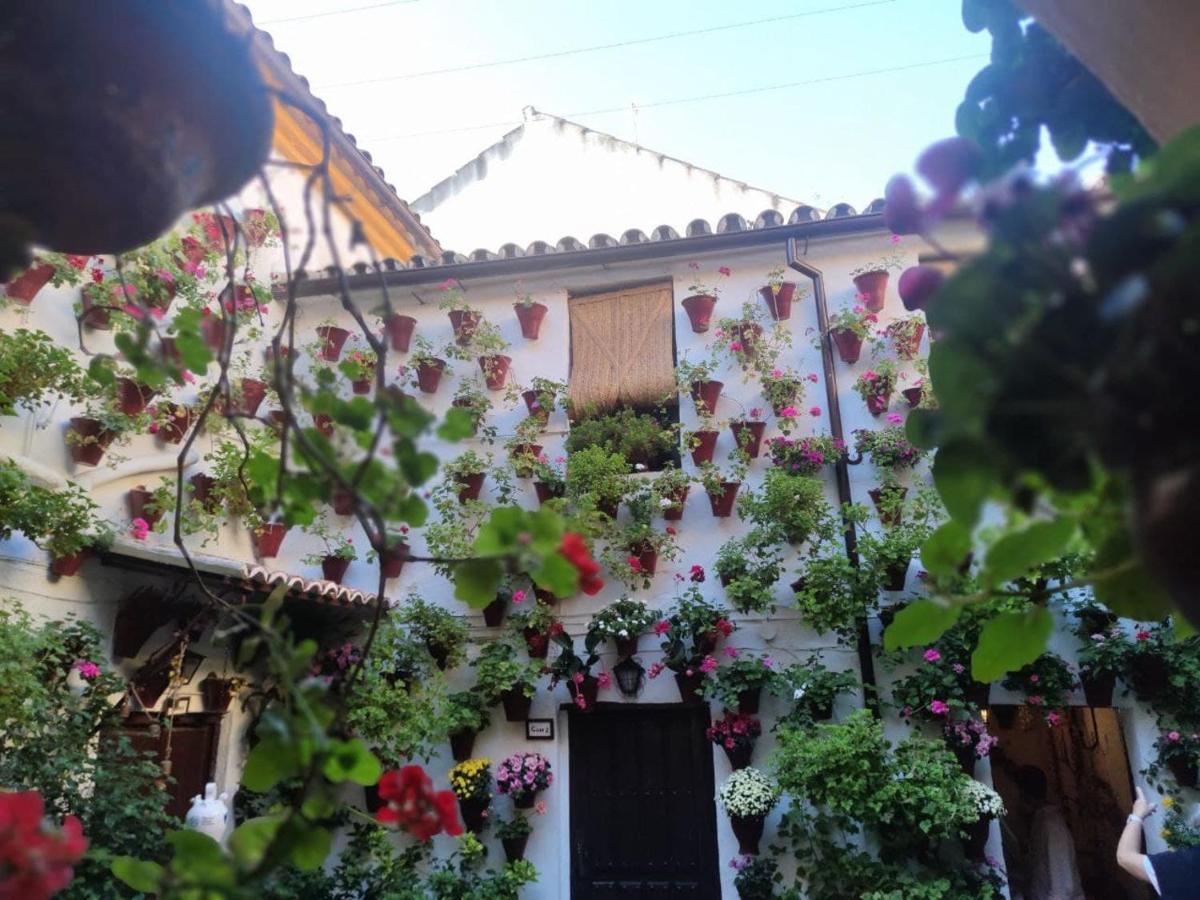 El Capricho De San Fernando, Consigna Gratis Y Parking A 200Mts Lägenhet Córdoba Exteriör bild