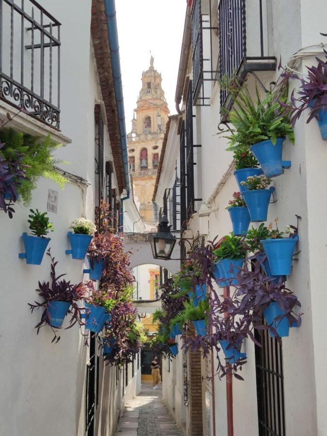 El Capricho De San Fernando, Consigna Gratis Y Parking A 200Mts Lägenhet Córdoba Exteriör bild