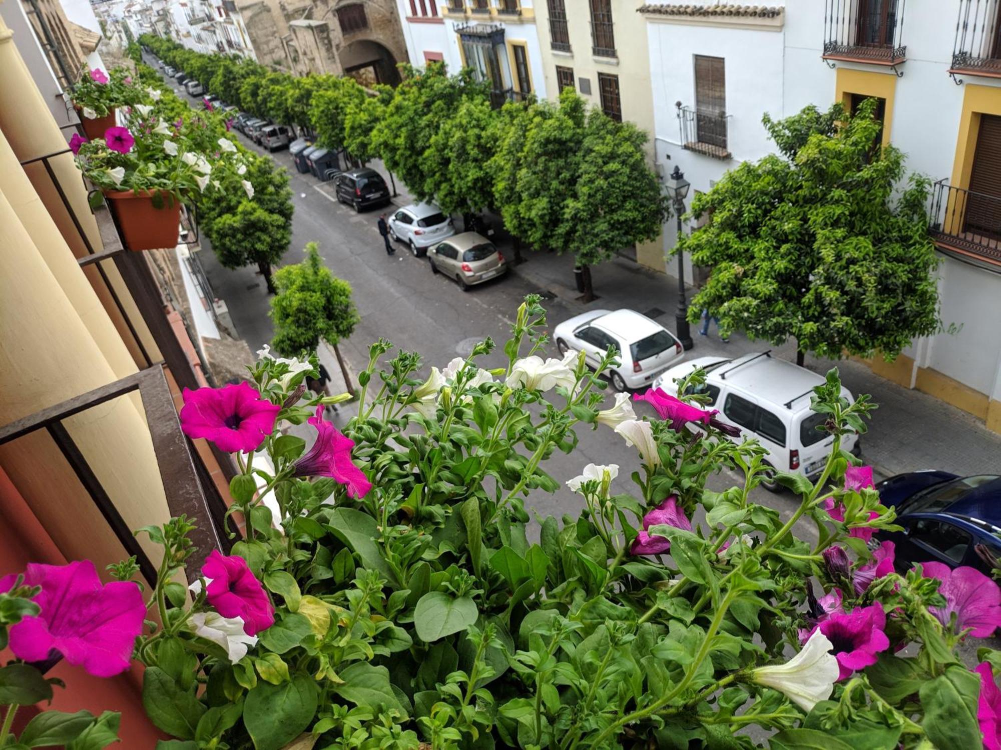 El Capricho De San Fernando, Consigna Gratis Y Parking A 200Mts Lägenhet Córdoba Exteriör bild